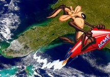 Wile E Coyote.jpg