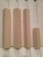 Ivory.jpg