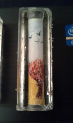 IMAG0398.jpg
