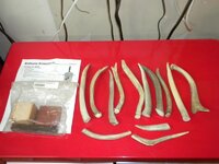 DSCN2142.jpg