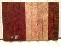 Camphor Ash Thuya.jpg