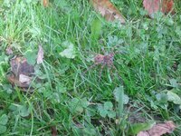 IMG_20121014_110025.jpg