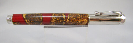 small gall pen2.jpg