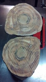 Redwood Root Burl 3.jpg