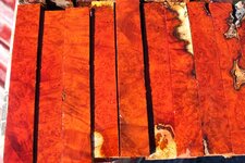 logwood burl.jpg
