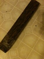 Black Palm.JPG