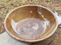 101_2038a.jpg