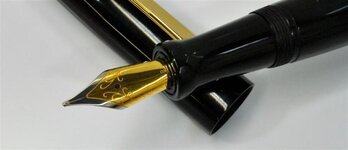 Custom Black Ebonite FP 019 (Small).jpg