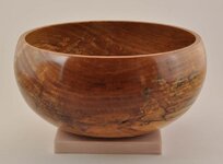 Sycamore Bowl 02.jpg