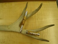 PITH Pen 003.jpg