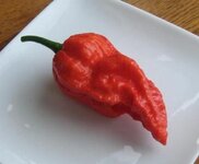 pepper.jpg