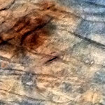 pith2012tease2.jpg