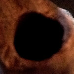 pith2012tease3.jpg