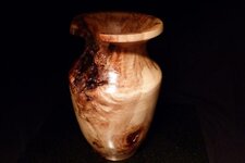 Cottonwood3.jpg