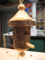 IMG_1974 (Small).JPG