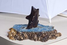 pith2012-02b.jpg