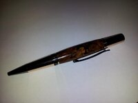 Rosi's pen cell phone pic.jpg