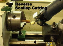 4Scallop.jpg