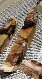 mulberry2.jpg