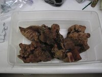IMG_8066.jpg
