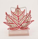 Maple Leaf 01 front.jpg