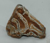 DSC_0362.jpg