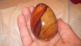 Egg kaleidoscope-cocobolo-Costa Rica.jpg