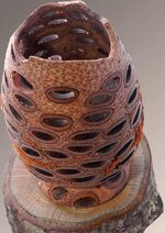 Banksia_goblet_detail2.jpg