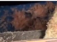 Screen Shot 2013-01-20 at 2.02.43 PM.jpg