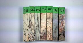 s31-s37.jpg