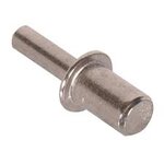 pin.jpg