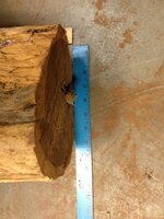 DI_Log-3.jpg
