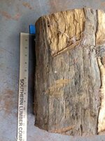DI_Log-4.jpg