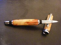 red flame box elder burl sedona 006.jpg