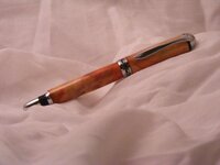 pen picture practice 005.jpg