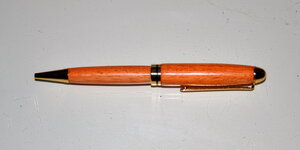 1149 Samba albicocca.jpg