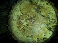 2013-02-23 18.12.39.jpg