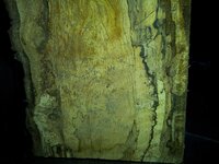 2013-02-23 18.13.10.jpg