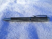 DSCN0484(1).jpg