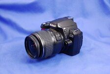 D40-1.jpg