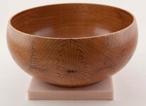 Beech ZIA Bowl 02.jpg