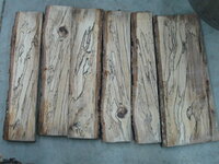 Spalted Maple 004.JPG
