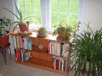 bookcase3.jpg