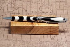 zebra_800x533.jpg