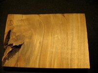 IMG_1504.jpg