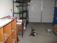 IMG_0391.jpg