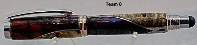 Team_8_20.jpg