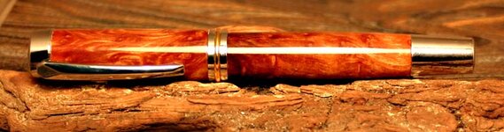 elm burl.jpg