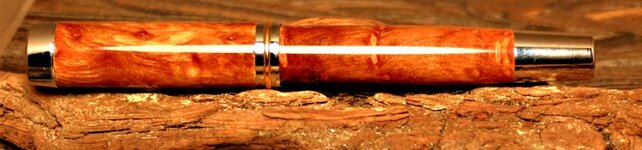elm burl 1.jpg