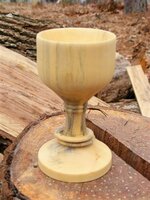 Goblet.jpg.JPG